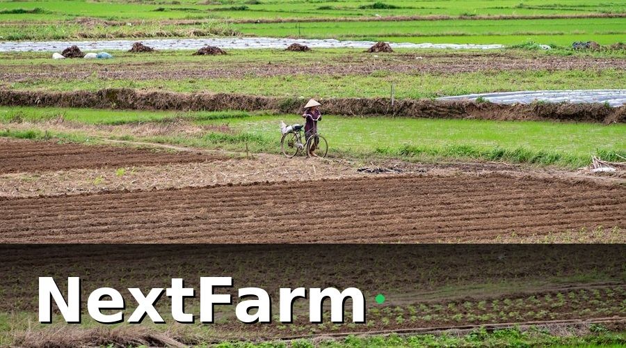 NextFarm — Hiện Trạng Trước Khi Số Hóa: 