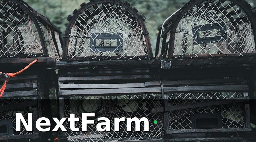NextFarm — Kết quả sau hai vụ