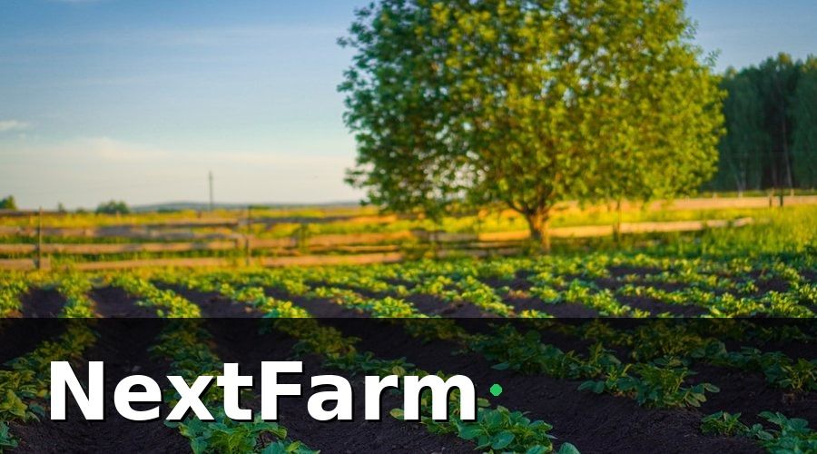 NextFarm — Bức tranh ban đầu: Organic nhưng không thể chứng minh