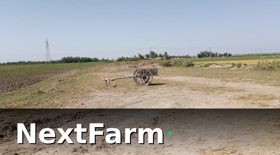 NextFarm — Triển khai từng bước: Công nghệ gặp đồng ruộng