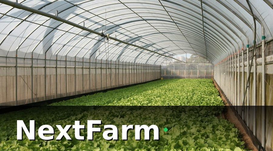 NextFarm — Bài toán của trang trại rau sạch 5ha