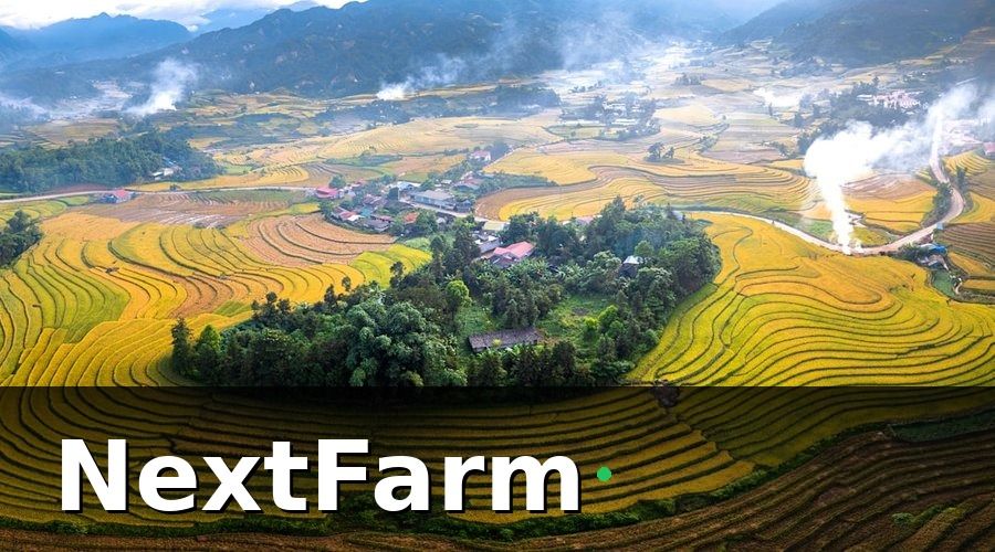 NextFarm — IoT Trong Nông Nghiệp Việt Nam — Tại Sao Lại Là Thời Điểm Bây Giờ?