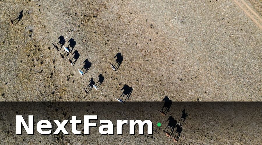 NextFarm — Case Study 2 — Viettel Và Hệ Thống Giám Sát 500+ Trang Trại
