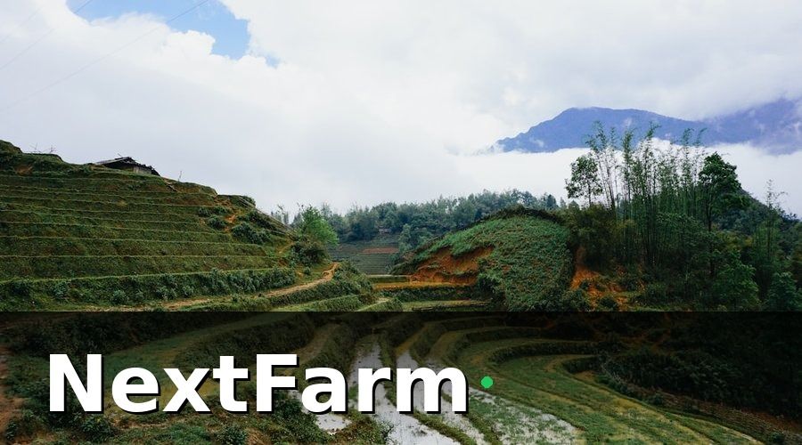 NextFarm — Bức tranh