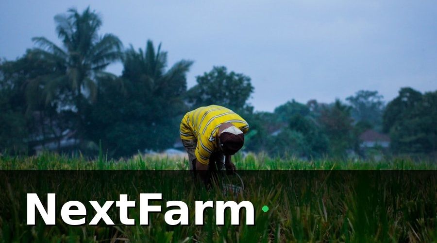 NextFarm — Triển khai thực tế: Từng bước một