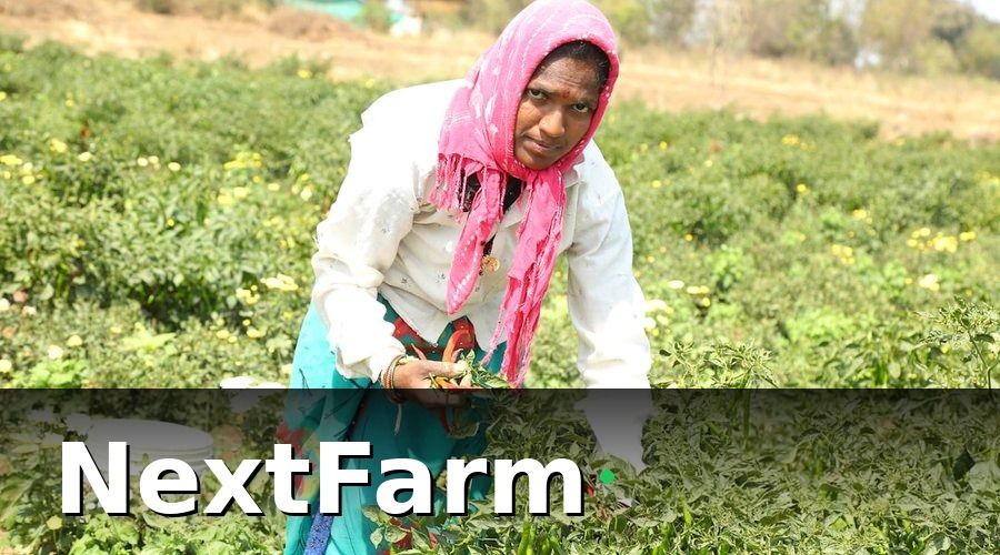 NextFarm — Thách thức cốt lõi cần giải quyết