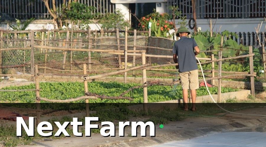 NextFarm — Nông trại nhỏ gặp vấn đề gì trước khi áp dụng công nghệ?