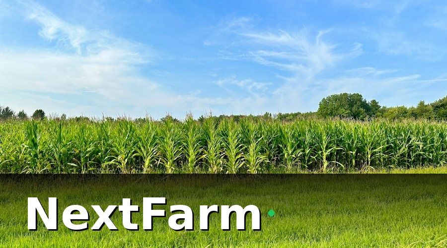 NextFarm — Giải pháp công nghệ được áp dụng như thế nào?