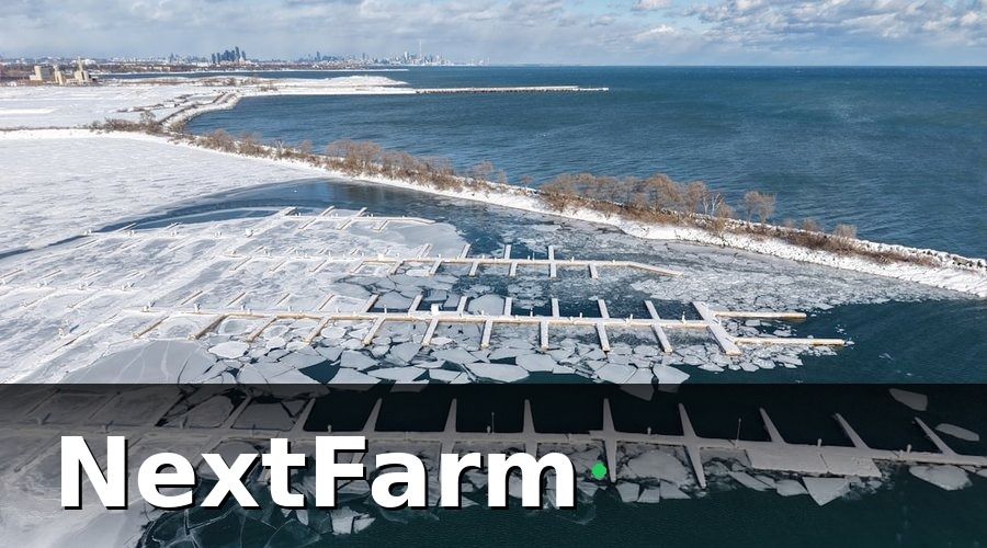 NextFarm — Bối Cảnh: Nuôi Tôm Công Nghiệp Và Những Rủi Ro Khó Lường