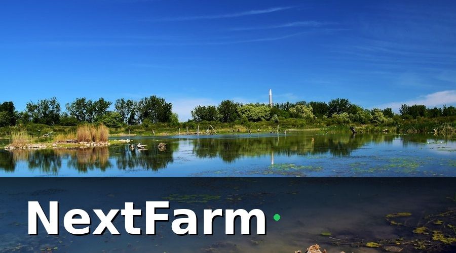 NextFarm — Trang Trại Minh Phát: Trước Khi Có Công Nghệ