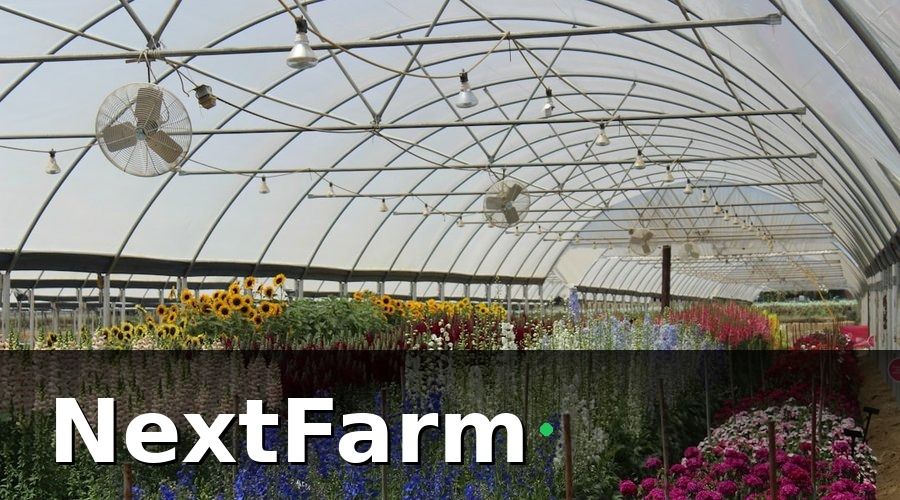 NextFarm — Tổng Quan: Trang Trại Trước Khi Ứng Dụng Công Nghệ