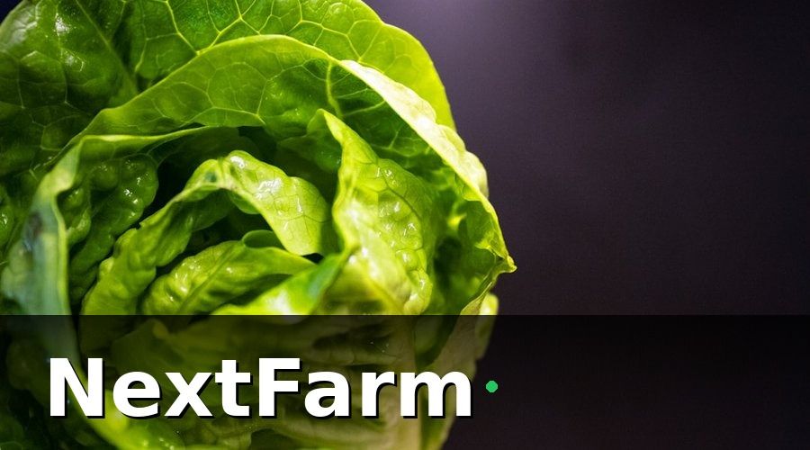 NextFarm — Kết Quả Sau 6 Tháng Triển Khai