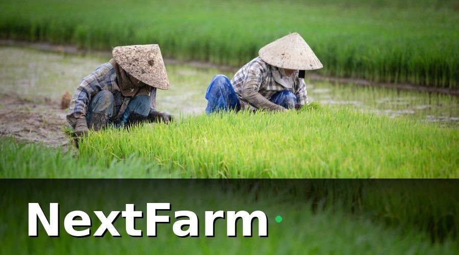 NextFarm — Tại Sao Cần Nhìn Vào Case Study Smart Farm Thực Tế?