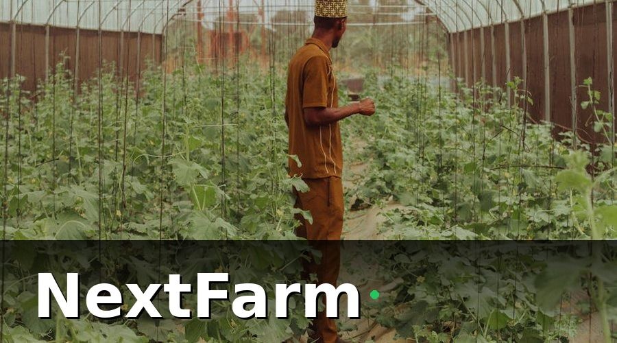 NextFarm — Case Study 2 — Denso: Giảm 40% Thất Thoát Nhờ IoT Giám Sát Môi Trường