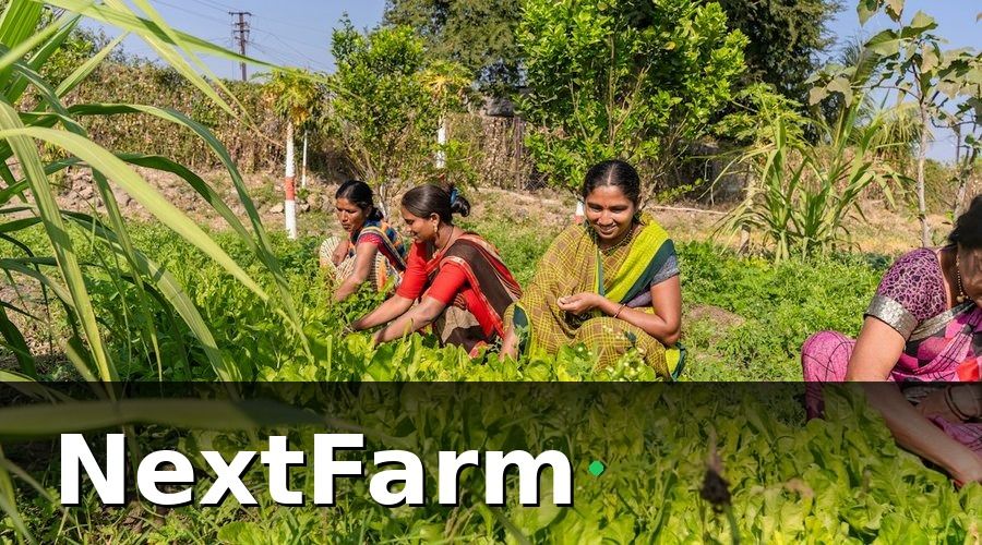 NextFarm — Vấn đề thực tế trước khi chuyển đổi