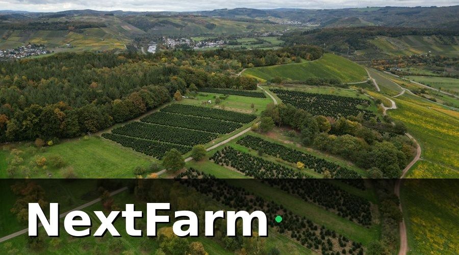 NextFarm — Giải pháp smart farming được áp dụng