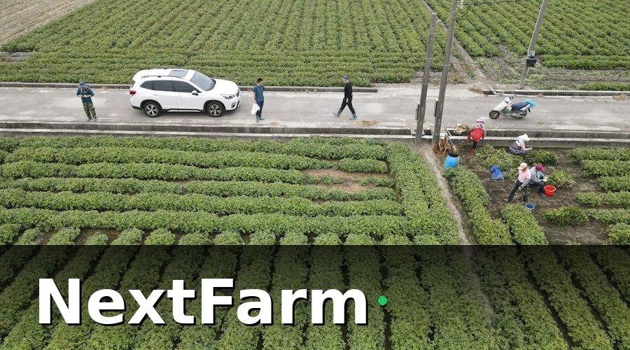 NextFarm — Quy trình triển khai 3 giai đoạn