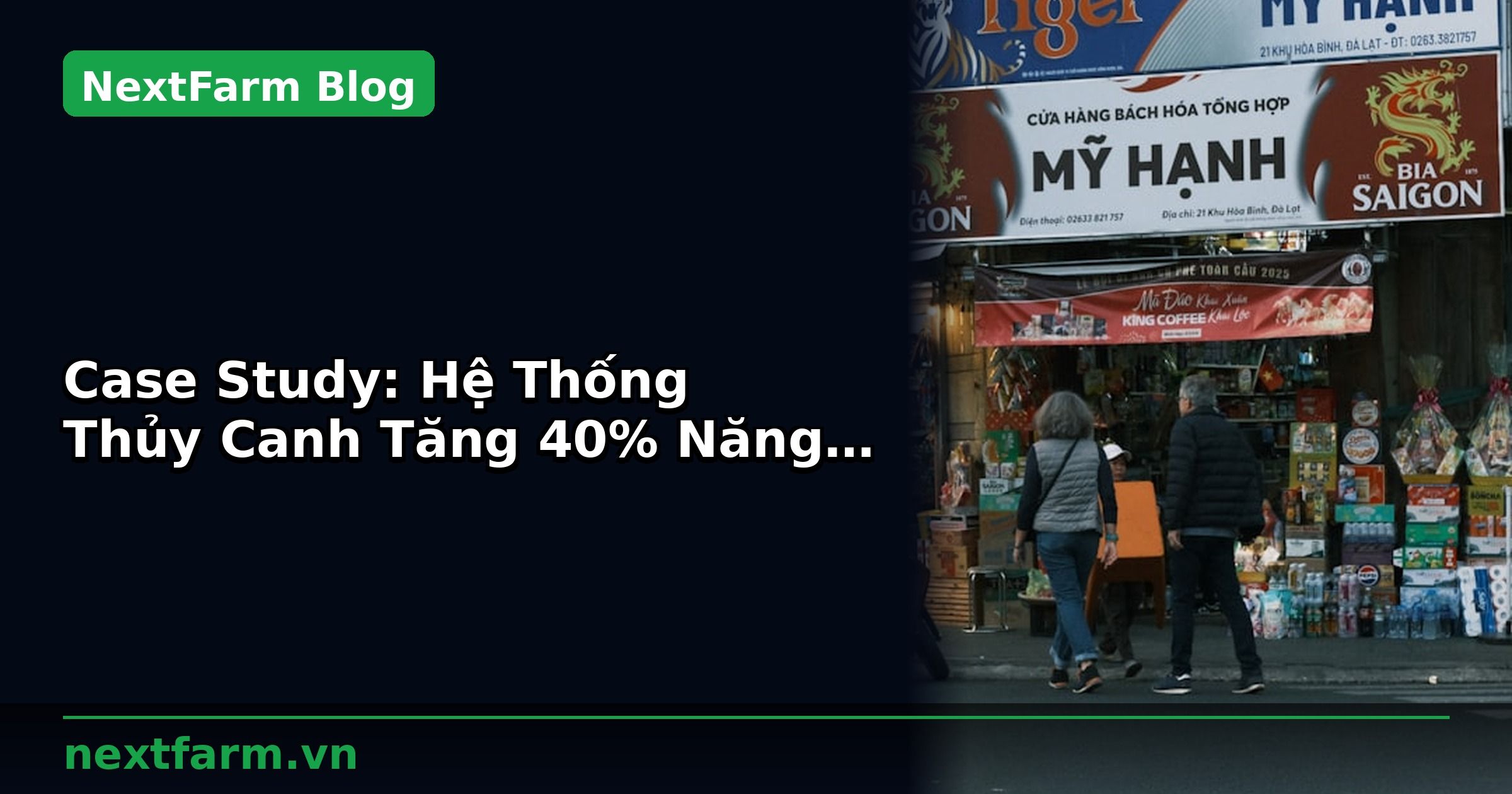 Case Study: Hệ Thống Thủy Canh Tăng 40% Năng Suất Với Công Nghệ | NextFarm