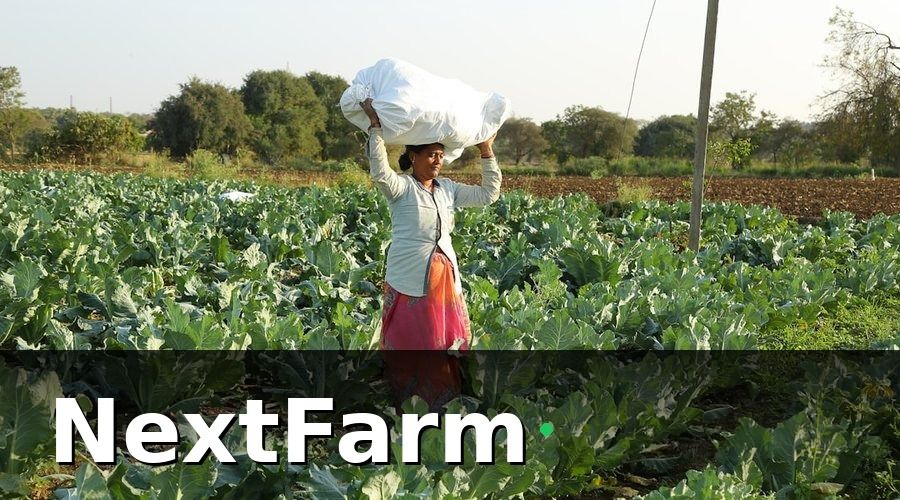 NextFarm — Kết Quả Sau Hai Vụ Canh Tác