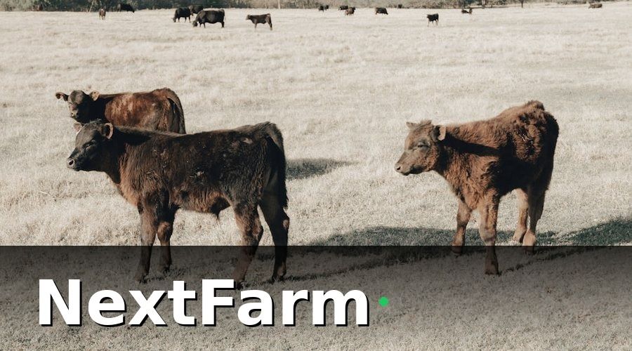 NextFarm — Bức tranh trước khi chuyển đổi số