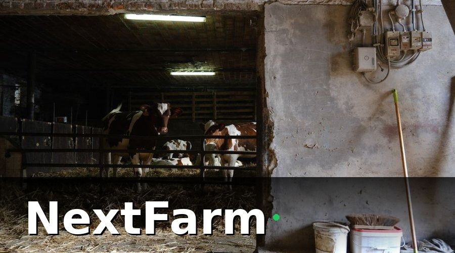 NextFarm — Giải pháp triển khai: từng bước ứng dụng công nghệ