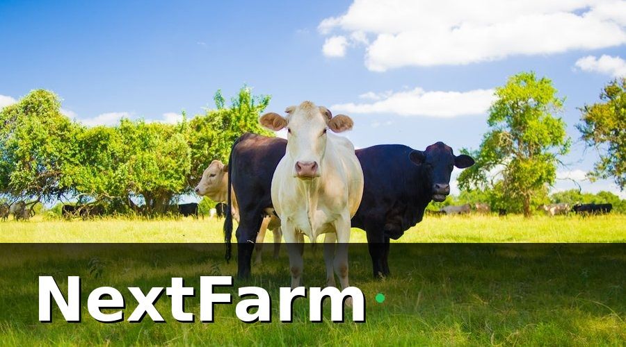 NextFarm — Kết quả sau 6 tháng: con số thực tế