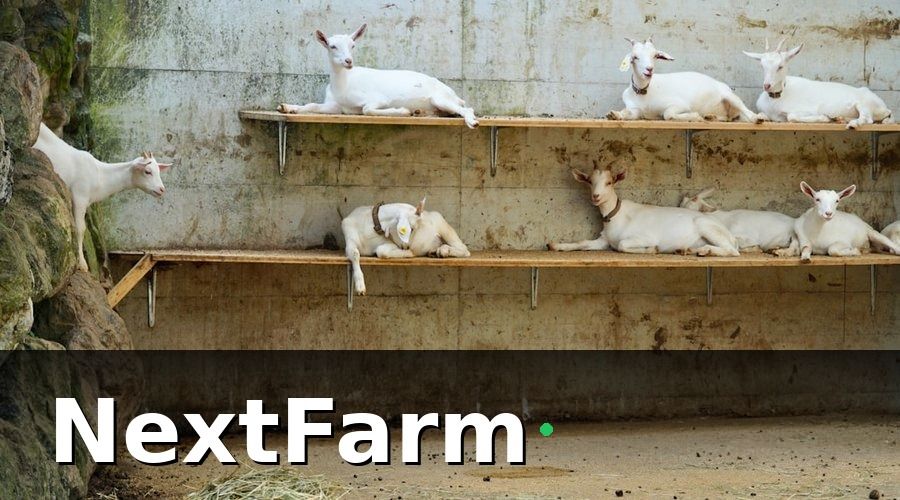 NextFarm — Bức Tranh Ban Đầu: Những Con Số Đáng Lo Ngại