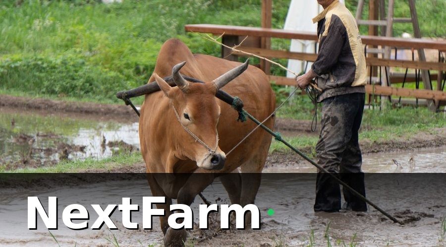 NextFarm — Giải Pháp Triển Khai: 3 Bước Chuyển Đổi Số