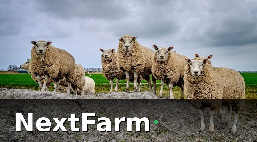NextFarm — Kết Quả Sau 6 Tháng: Con Số Nói Lên Tất Cả