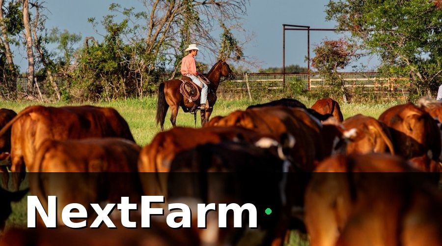 NextFarm — Kết Quả Sau 6 Tháng: Những Con Số Nói Lên Tất Cả