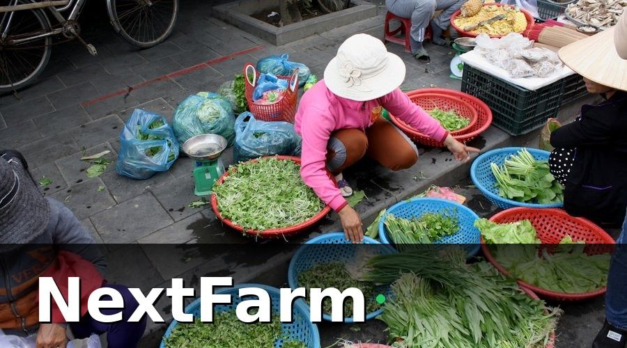 NextFarm — Bối Cảnh: Bài Toán Của Nông Sản Đà Lạt