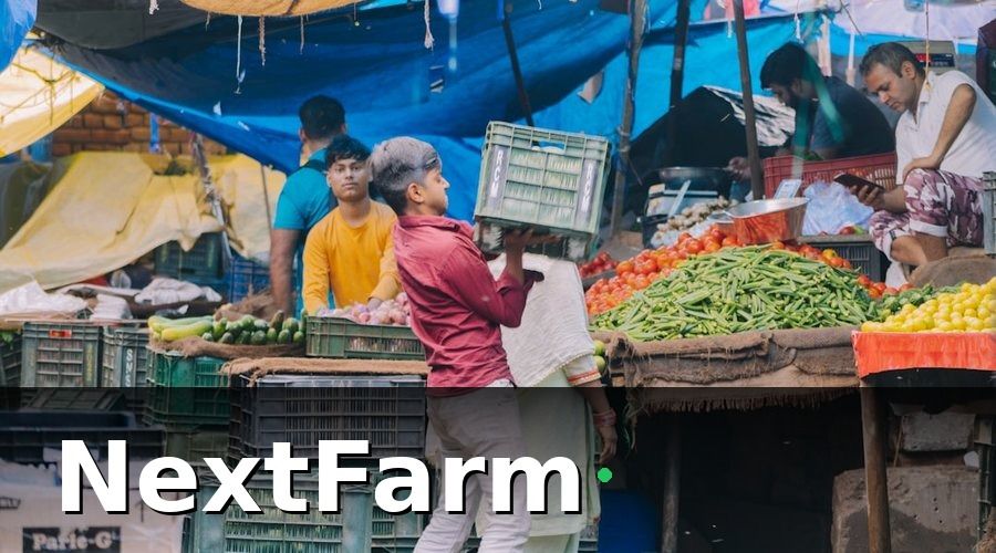 NextFarm — Kết Quả Đo Lường Được Sau 6 Tháng