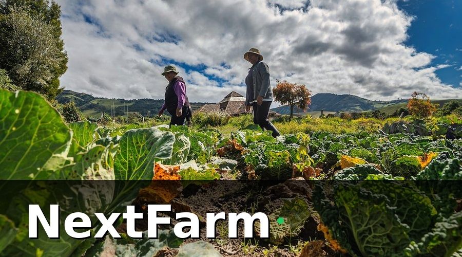 NextFarm — Tại Sao VietGAP Lại Khó Với HTX Nhỏ?