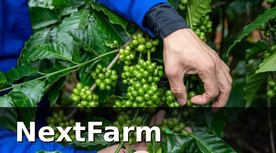 NextFarm — Bức Tranh Ban Đầu: Năng Suất Thấp, Chi Phí Cao