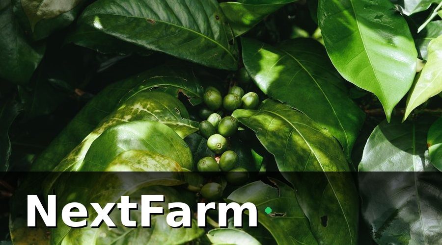 NextFarm — Giai Đoạn 2: Tối Ưu Tưới Tiêu Và Phân Bón Theo Dữ Liệu