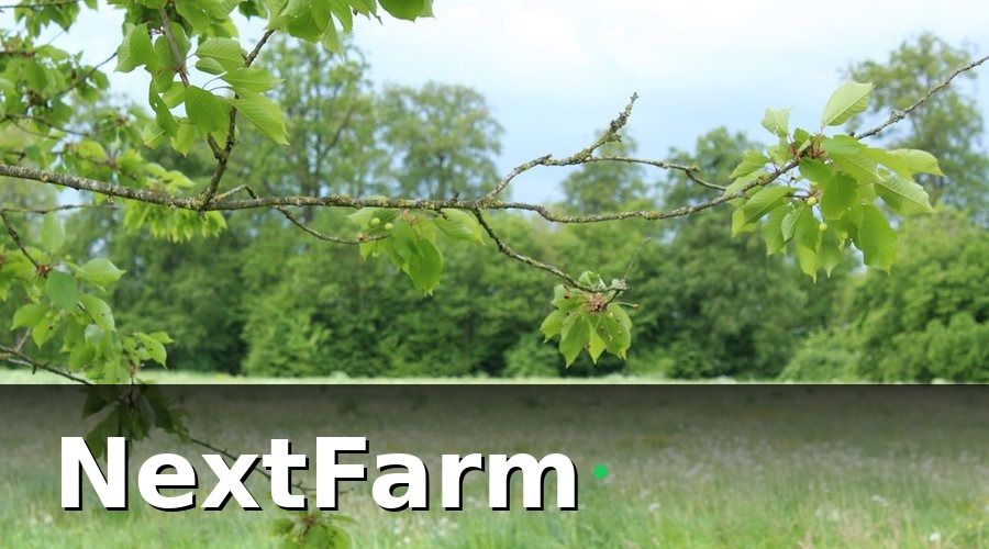 NextFarm — Bức tranh trước khi áp dụng công nghệ