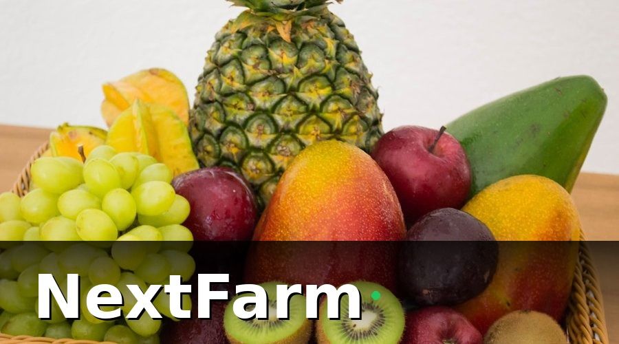 NextFarm — Kết quả sau 2 vụ canh tác — con số thực tế