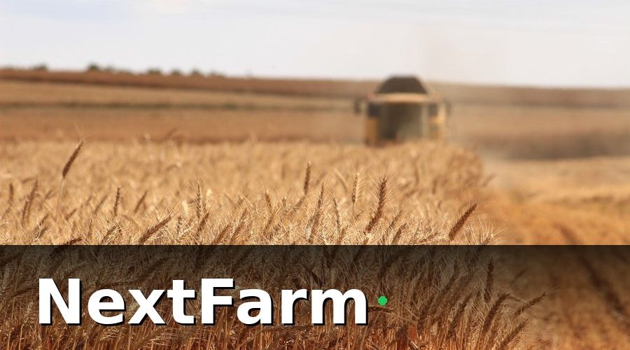NextFarm — Con Số Thực Tế Sau 18 Tháng