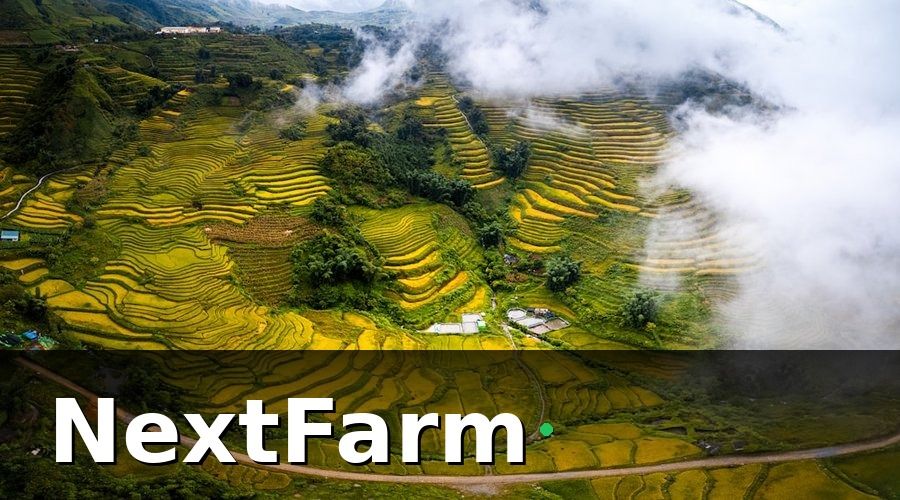 NextFarm — Tại Sao Nông Dân Việt Nam Cần Canh Tác Chính Xác?