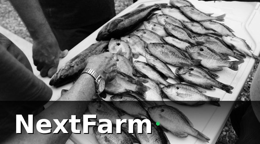 NextFarm — Vì Sao Chăm Sóc Khách Hàng Quan Trọng Với Mô Hình Thu Mua Thủy Sản?