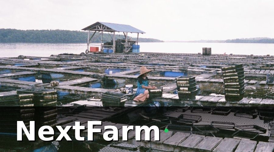 NextFarm — Xây Dựng Quy Trình Chăm Sóc Khách Hàng Cho Đơn Vị Thu Mua Thủy Sản