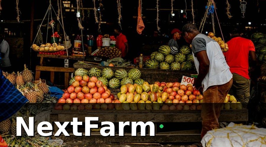 NextFarm — Vai trò của chăm sóc khách hàng trong chuỗi cung ứng blockchain