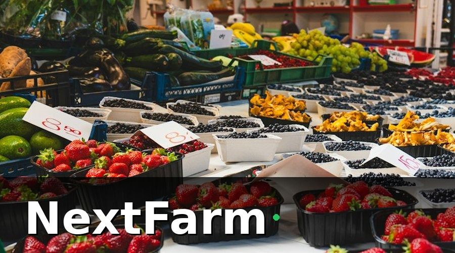 NextFarm — Case study: Delco Farm Bắc Ninh áp dụng QR truy xuất