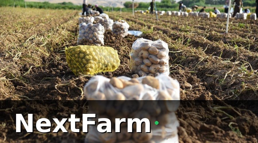 NextFarm — 5 bước xây dựng quy trình chăm sóc khách hàng chuẩn GlobalGAP