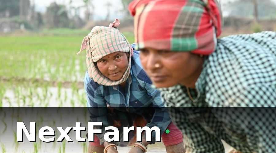 NextFarm — Xây dựng quy trình chăm sóc khách hàng 5 bước