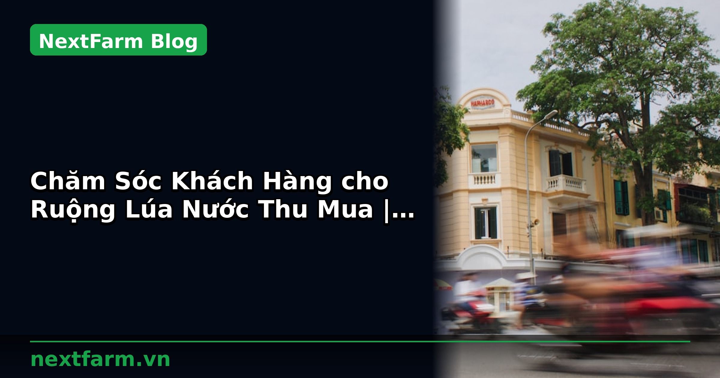 Chăm Sóc Khách Hàng cho Ruộng Lúa Nước Thu Mua | NextFarm