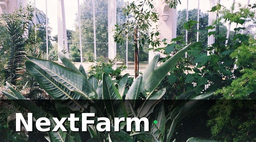 NextFarm — Tại Sao Nhà Kính Công Nghệ Cao Cần Chiến Lược Chăm Sóc Khách Hàng Riêng?
