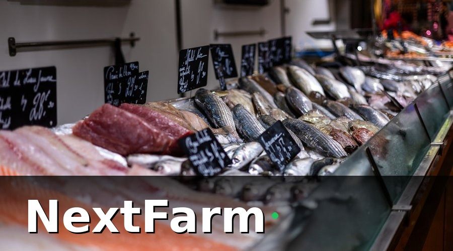 NextFarm — Phân Loại Khách Hàng Thu Mua Cá Nước Ngọt