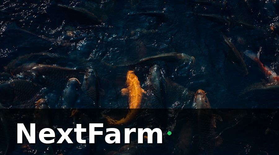 NextFarm — Quy Trình Chăm Sóc Khách Hàng Thu Mua Theo Từng Giai Đoạn Vụ Nuôi