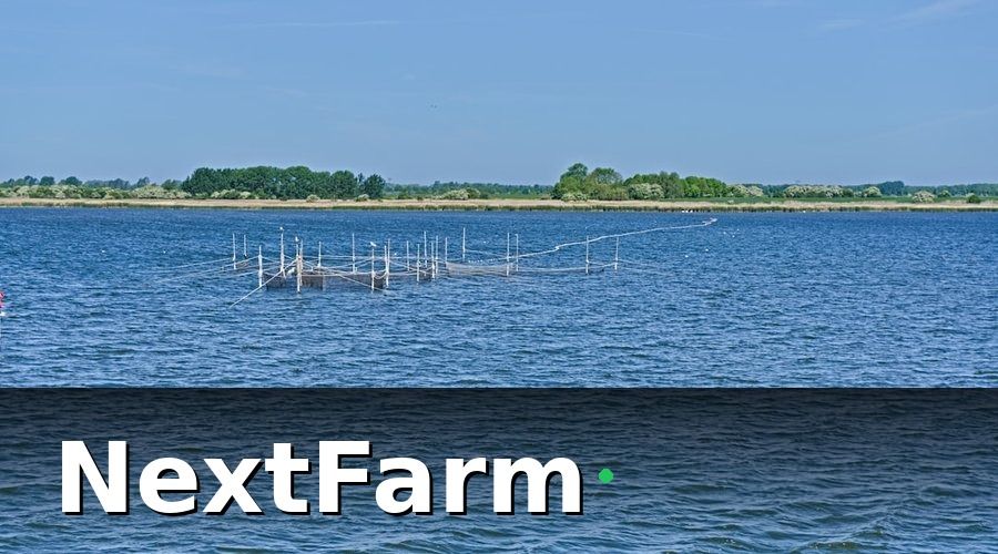 NextFarm — Bước 1: Xây Dựng Hồ Sơ Ao Nuôi Minh Bạch Từ Đầu Vụ